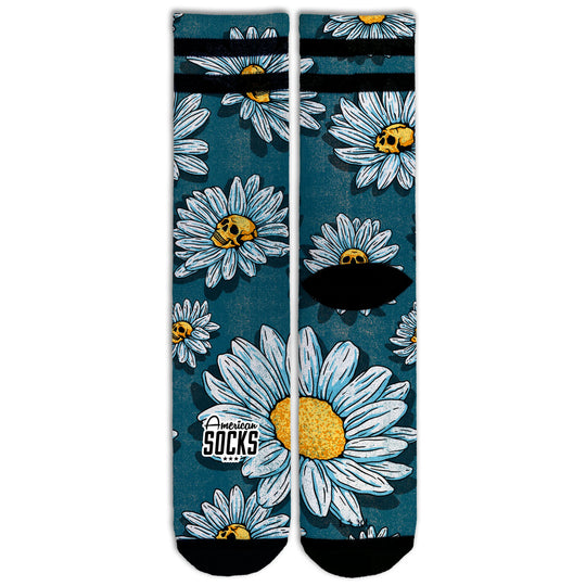 Daisies - Signature