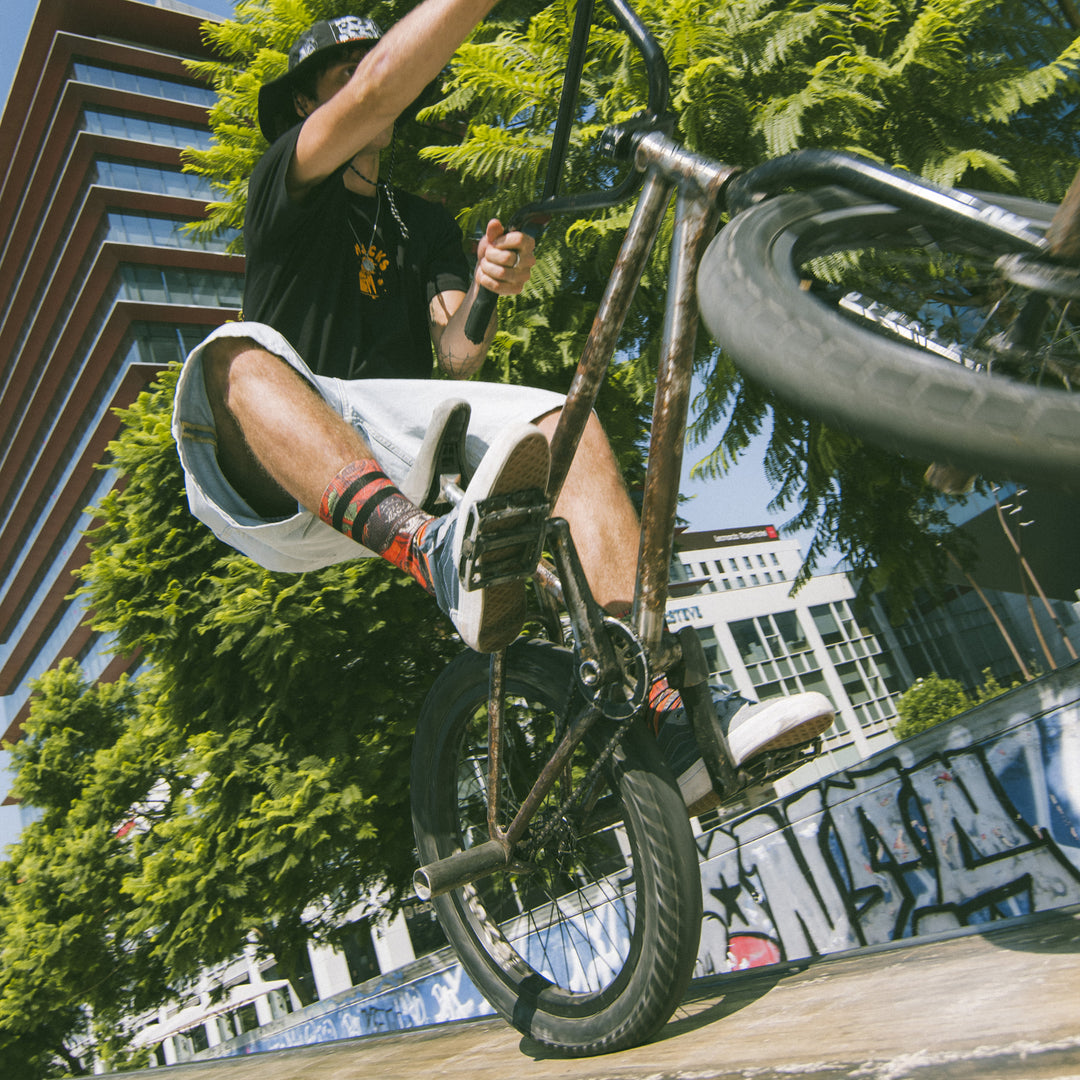 El Mariachi - Signature